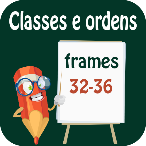 Classes e ordens: ordens decimais - unidades, dezenas e centenas; valor posicional dos dígitos; comparação e ordenação de números até mil; leitura de centenas inteiras;...